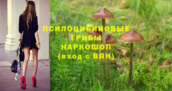 прущая мука Лагань