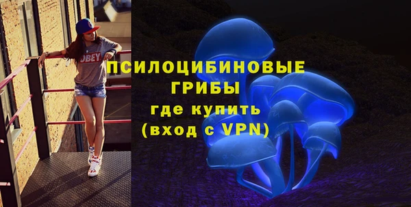 ешки Лабытнанги