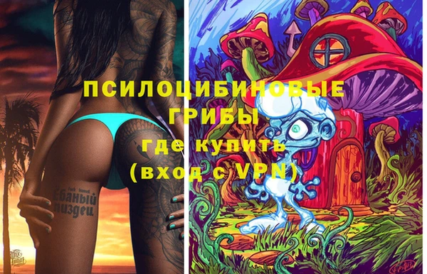 ешки Лабытнанги