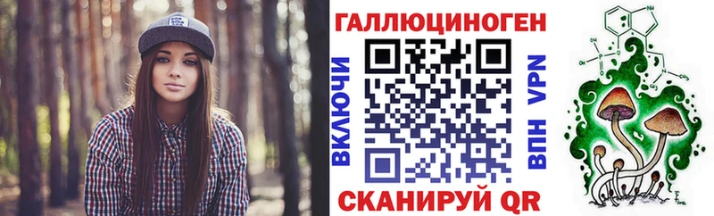 Галлюциногенные грибы Psilocybe  что такое   Орск 