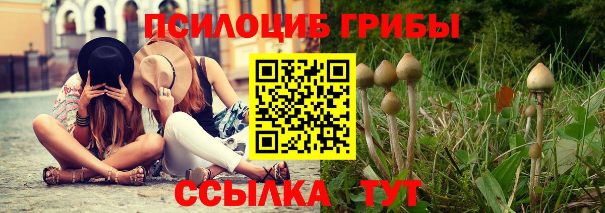 Псилоцибиновые грибы ЛСД  Псилоцибиновые грибы Cubensis  Вход с VPN  Орск 